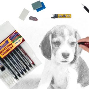 Picture of dog, hand drawing, and June Gold pencils, erasers, and graphite refills.